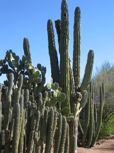 IMG_0172
