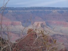 IMG_0637