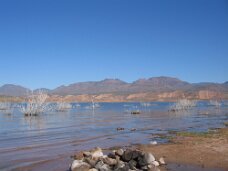 IMG_0598