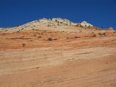IMG_0799