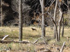 IMG_0842