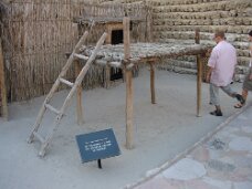 IMG_3720