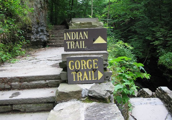 Watkins Glen