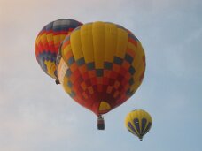 IMG_3350