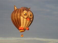 IMG_3423