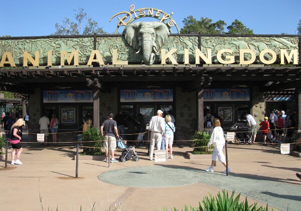 Disney-Animal Kingdom