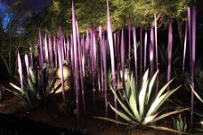 IMG_2723 Las Noches de las Luminarias at the Desert Botanical Garden