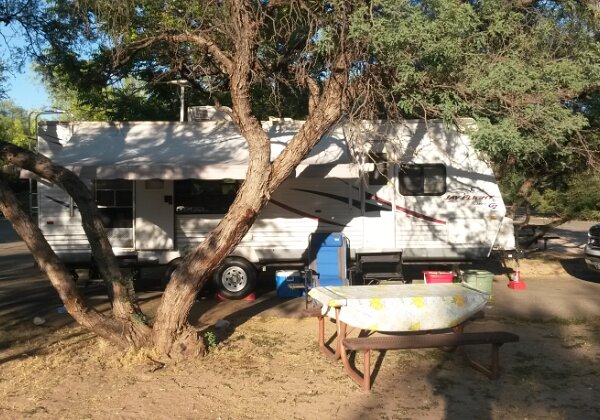 Cottonwood Cottonwood