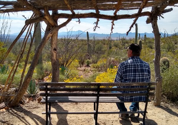Sonora Desert Museum