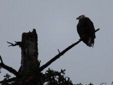 IMG_0279