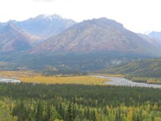 IMG_0464