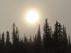 IMG_0687 Sun is trying hard to burn of the fog