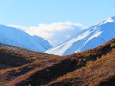 IMG_0729