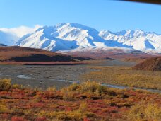 IMG_0735