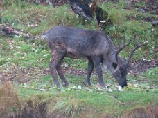 IMG_0864